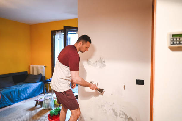 Best Attic Mold Remediation in Pittsboro, NC
